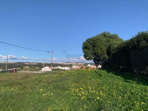 Terreno a 10 min do centro da Ericeira. Permite construção.