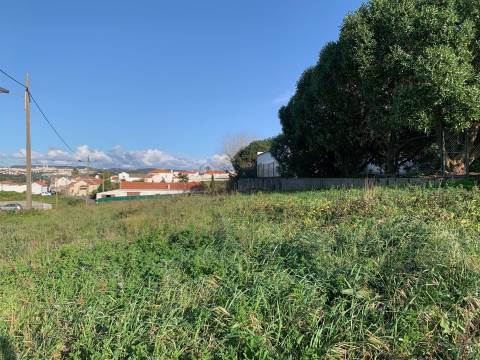 Terreno a 10 min do centro da Ericeira. Permite construção.