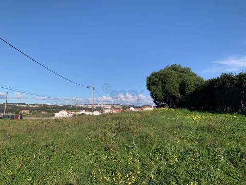 Terreno a 10 min do centro da Ericeira. Permite construção.