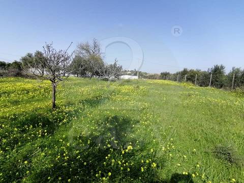 Moradia c/7 divisões p/ remodelar, Terreno 4440m2,  Altura, Algarve