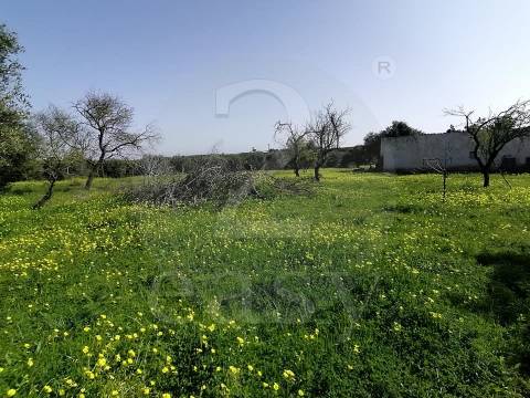 Moradia c/7 divisões p/ remodelar, Terreno 4440m2,  Altura, Algarve