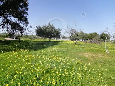 Moradia c/7 divisões p/ remodelar, Terreno 4440m2,  Altura, Algarve