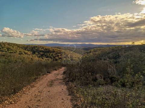 Herdade com 44,875 hectares, Ruína para recuperação, Costa Vicentina, Odemira, Alentejo