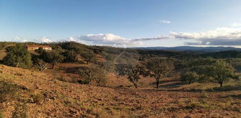 Herdade com 44,875 hectares, Ruína para recuperação, Costa Vicentina, Odemira, Alentejo