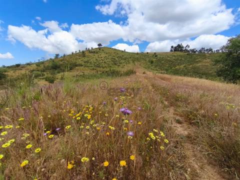 Refúgio alentejano com 45 hectares e vistas deslumbrantes em Odemira