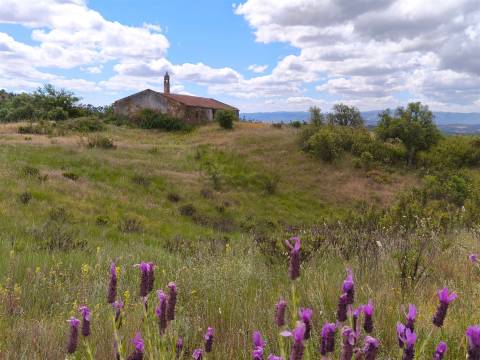 Refúgio alentejano com 45 hectares e vistas deslumbrantes em Odemira