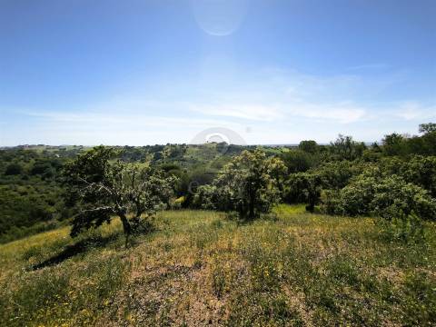 Terreno Rústico com 11,95ha com viabilidade de construção no Litoral Alentejano