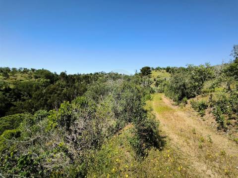 Terreno Rústico com 11,95ha com viabilidade de construção no Litoral Alentejano