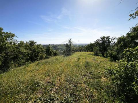Terreno Rústico com 11,95ha com viabilidade de construção no Litoral Alentejano
