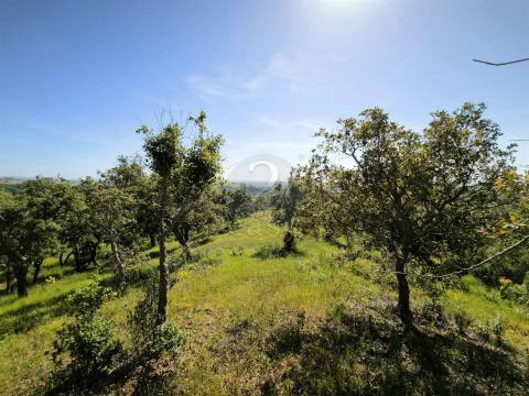 Terreno Rústico com 11,95ha com viabilidade de construção no Litoral Alentejano