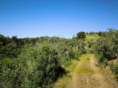 Terreno Rústico com 11,95ha com viabilidade de construção no Litoral Alentejano