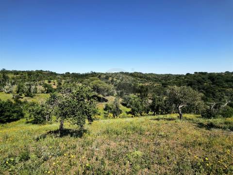 Terreno Rústico com 11,95ha com viabilidade de construção no Litoral Alentejano