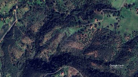 Terreno Rústico com 11,95ha com viabilidade de construção no Litoral Alentejano