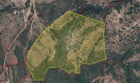 Terreno Rústico com 11,95ha com viabilidade de construção no Litoral Alentejano