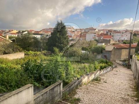 Terreno para construção- Lourel