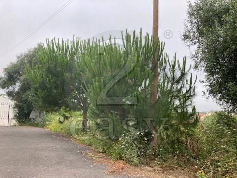 Terreno para construção- Lourel