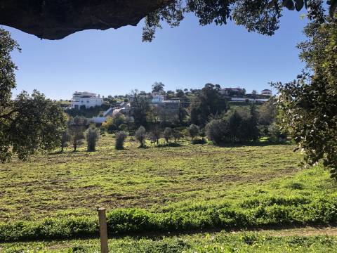 Lote de Terreno para Construção com 229m2, Vila Viçosa, Alentejo