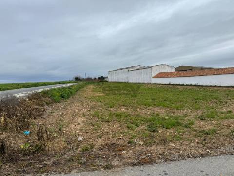 Terreno urbano com 1890m2, Jungeiros, Aljustrel