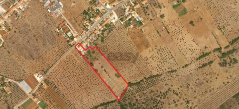 Quinta de Sonho no Alentejo: Água, Terreno Urbano e Localização Privilegiada, Borba