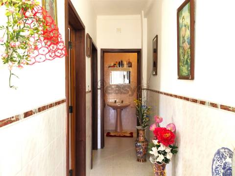 Quinta de Sonho no Alentejo: Água, Terreno Urbano e Localização Privilegiada, Borba