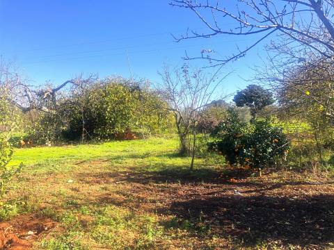 Quinta de Sonho no Alentejo: Água, Terreno Urbano e Localização Privilegiada, Borba