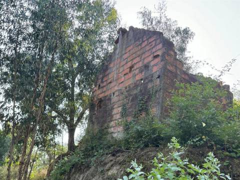 Terreno Misto  Venda em Lufrei,Amarante