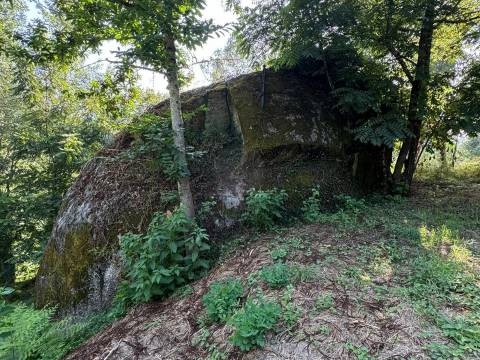 Terreno Misto  Venda em Lufrei,Amarante