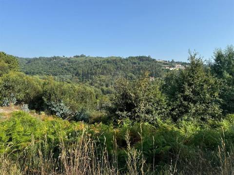 Terreno Misto  Venda em Lufrei,Amarante