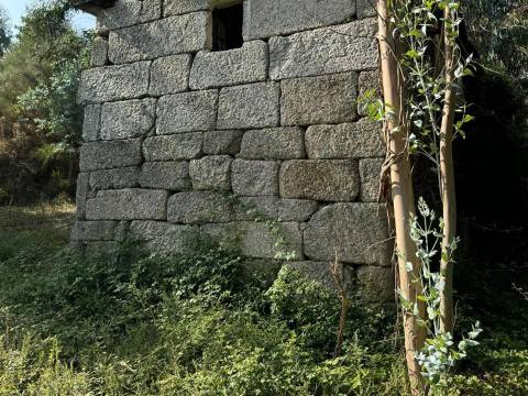 Terreno Misto  Venda em Lufrei,Amarante