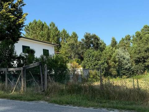 Terreno Misto  Venda em Lufrei,Amarante