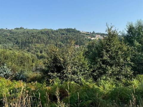 Terreno Misto  Venda em Lufrei,Amarante