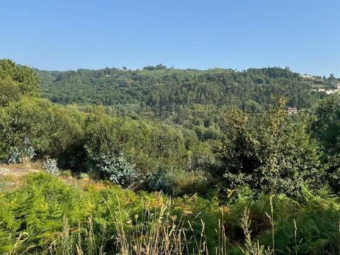 Terreno Misto  Venda em Lufrei,Amarante