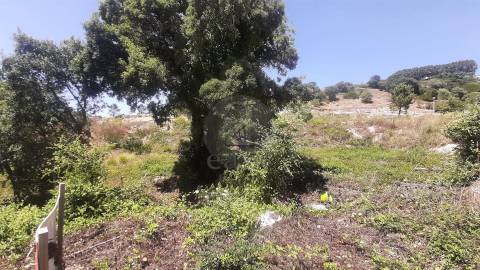 Lote de Terreno na Venda  do Pinheiro