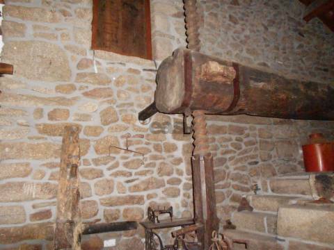 Casa da Ribeirinha T11 em Fradizela