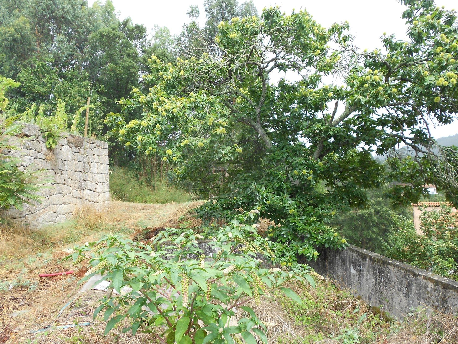 Terreno em Penafiel
