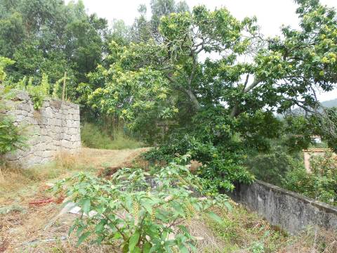 Terreno em Penafiel