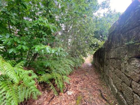Terreno em Penafiel