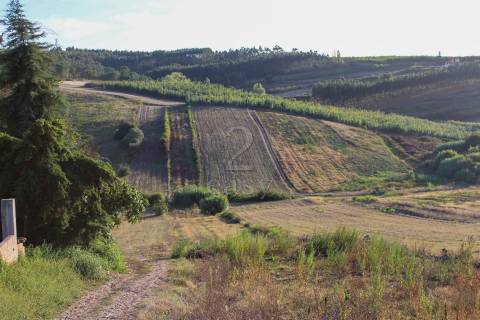 Terreno Para Construção  Venda em Bombarral e Vale Covo,Bombarral