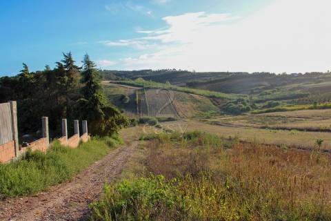 Terreno Para Construção  Venda em Bombarral e Vale Covo,Bombarral