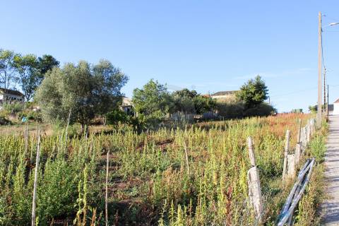 Terreno Para Construção  Venda em Bombarral e Vale Covo,Bombarral