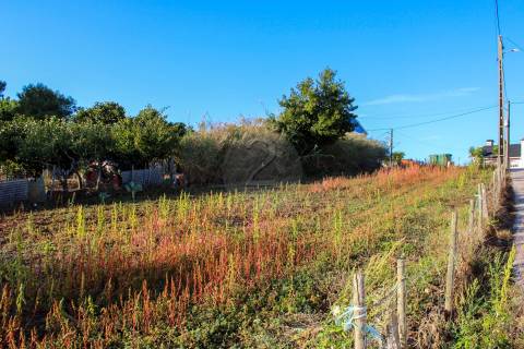 Terreno Para Construção  Venda em Bombarral e Vale Covo,Bombarral