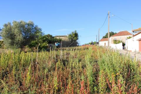 Terreno Para Construção  Venda em Bombarral e Vale Covo,Bombarral