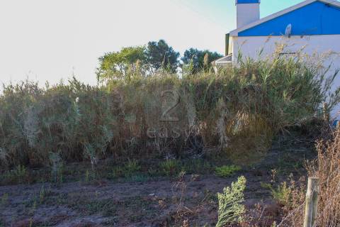 Terreno Para Construção  Venda em Bombarral e Vale Covo,Bombarral