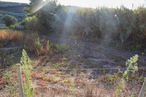Terreno Para Construção  Venda em Bombarral e Vale Covo,Bombarral