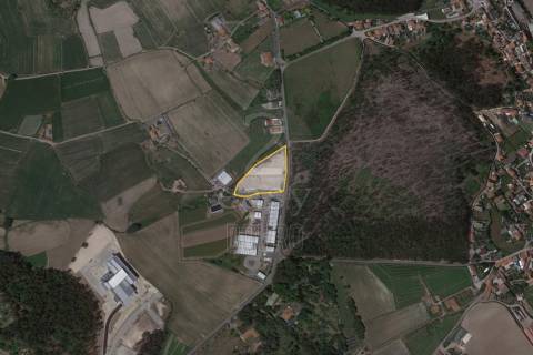 Terreno industrial para construção de armazém em Junqueira