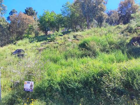 Terreno para Construção - Vilela