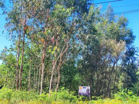 Terreno para Construção - Vilela