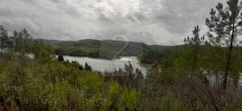 Terreno com microclima  para  Lima - Caviar