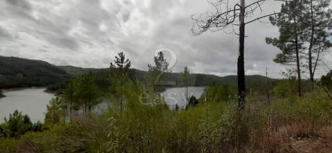 Terreno com microclima  para  Lima - Caviar