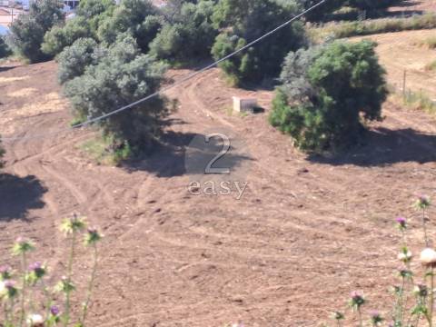 Propriedade Agrícola ideal para ovinos/caprinos em Selmes com Casa T1